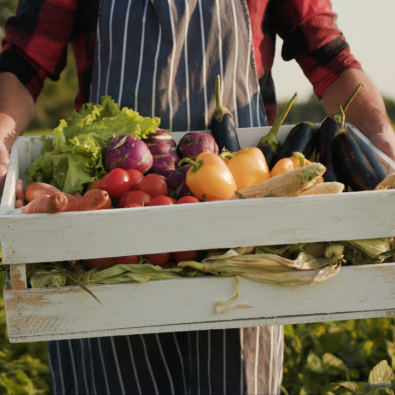 Local farmer holding fresh produce at the Farm