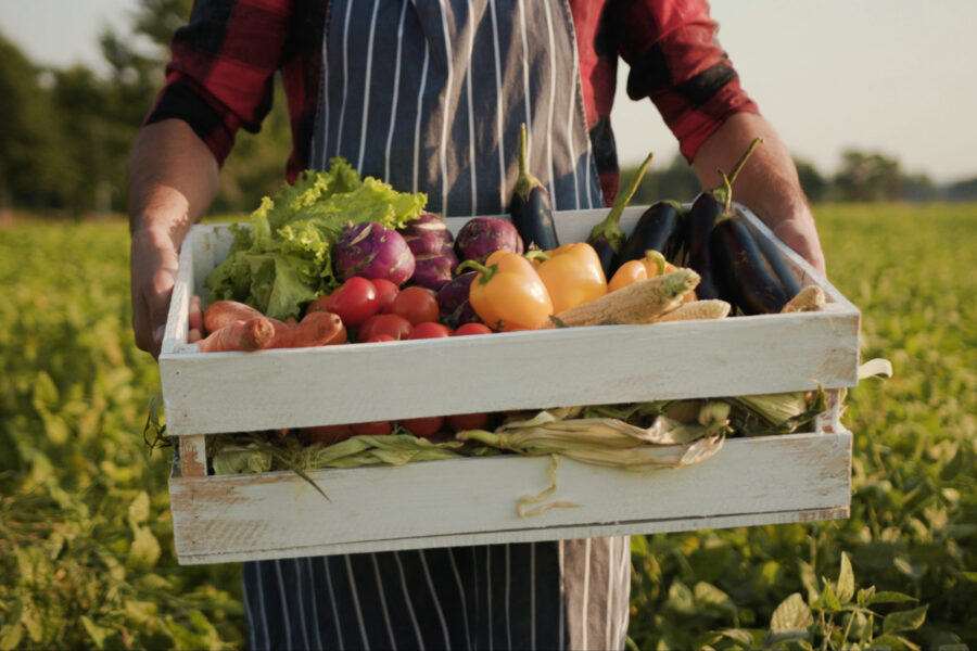 Local farmer holding fresh produce at the Farm