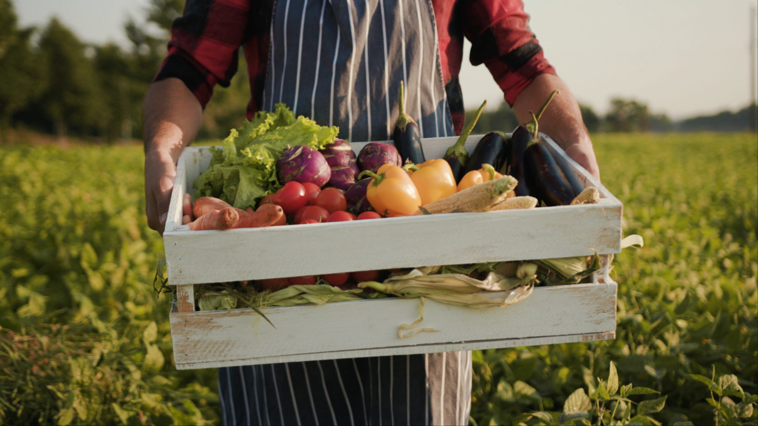 Local farmer holding fresh produce at the Farm