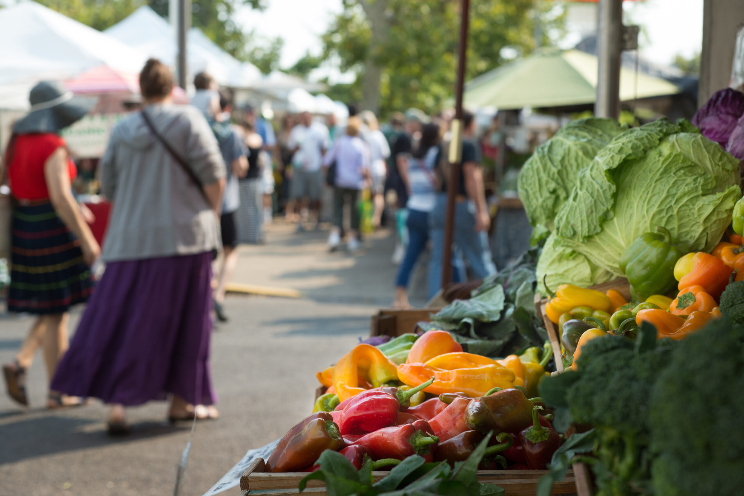 Visitors browsing vendor booths at the Farmers' Market
